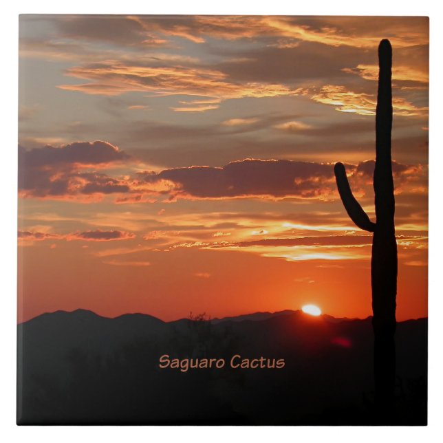 Saguaro Cactus, Sunset, Ceramic Tile (Front)