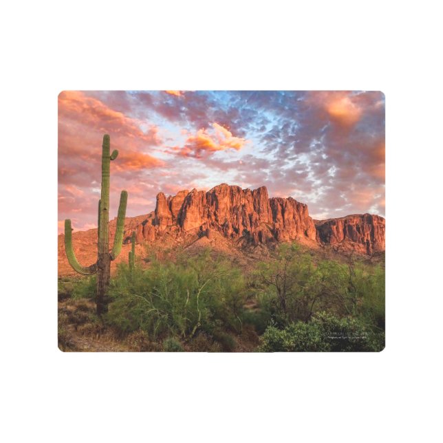 Saguaro Cactus Superstition Mountain Sunset 10x8 Metal Print (Front)