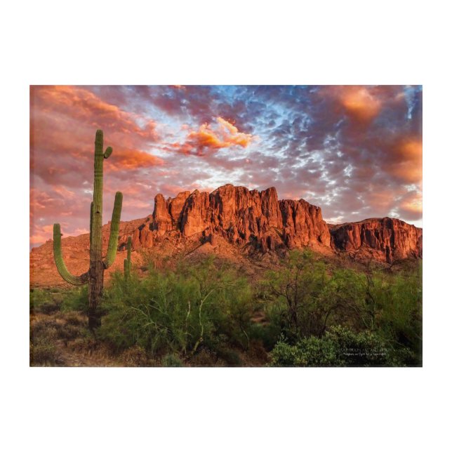Saguaro Cactus Superstition Mountain Sunset 14x10 Acrylic Print (Front)