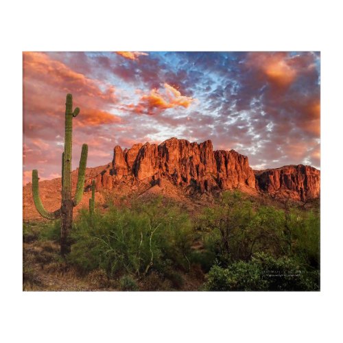 Saguaro Cactus Superstition Mountain Sunset 20x16 Acrylic Print