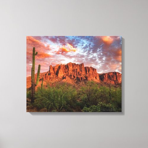 Saguaro Cactus Superstition Mountain Sunset 20x16 Canvas Print