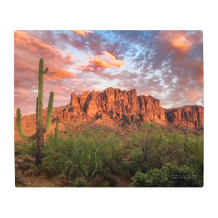 Saguaro Cactus Superstition Mountain Sunset 24x20 Metal Print