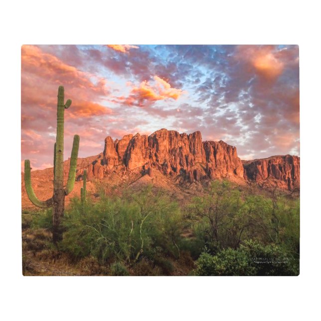 Saguaro Cactus Superstition Mountain Sunset 24x20 Metal Print (Front)