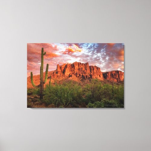 Saguaro Cactus Superstition Mountain Sunset 36x24 Canvas Print