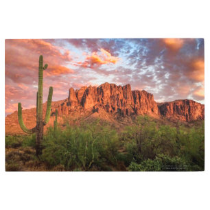 Saguaro Cactus Superstition Mountain Sunset 36x24 Metal Print