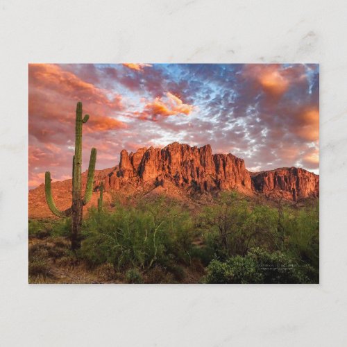 Saguaro Cactus Superstition Mountain Sunset Clouds Postcard