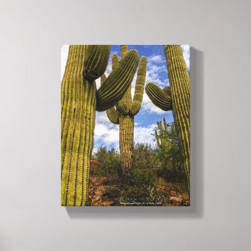 Saguaro Cactus Trio Blue Sky Clouds Arizona Desert Canvas Print