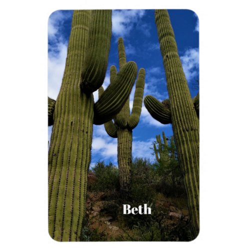 Saguaro Cactus Trio  Blue Sky  Clouds  Arizona Magnet