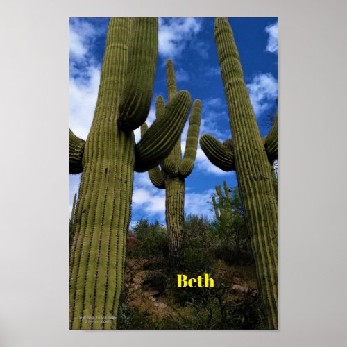 Saguaro Cactus Trio  Blue Sky  Clouds  Arizona Poster
