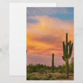 Saguaro Desert Life (Front/Back)