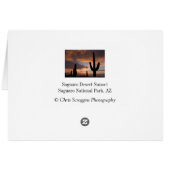 Saguaro Desert Sunset (Back Horizontal)