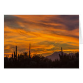 Saguaro Desert Sunset Photo Greeting Card (Front Horizontal)