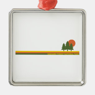 Saguaro Forest National Park Pine Trees Sun Metal Ornament