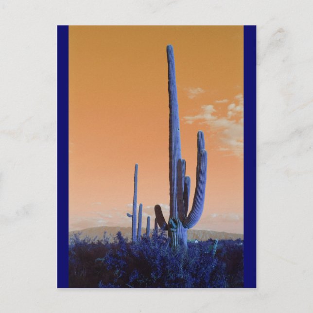 Saguaro in Blue Postcard (Front)