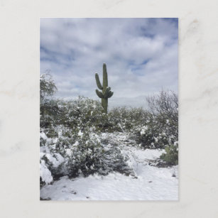 Saguaro in the Snow Postcard