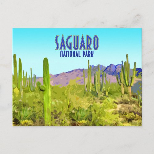 Saguaro National Park Arizona Cactus Vintage Postcard