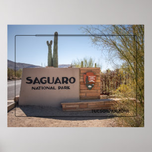 Saguaro National Park – Arizona Desert Poster