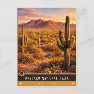 Saguaro National Park   Arizona Vintage Postcard