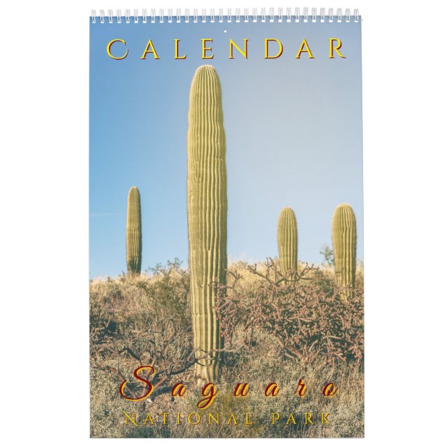 Saguaro National Park Flora Landscapes Calendar (Cover)