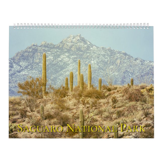 Saguaro National Park Landscape Calendar (Cover)
