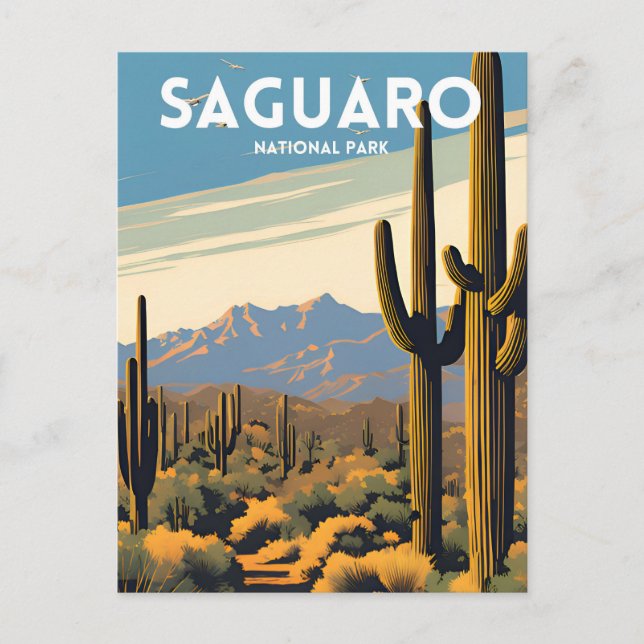 Saguaro National Park Postcard (Front)