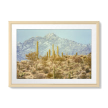 Saguaro National Park