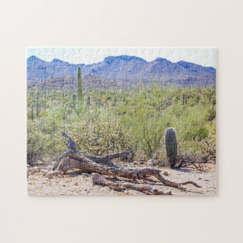 Saguaro National Park Tucson Arizona Jigsaw Puzzle