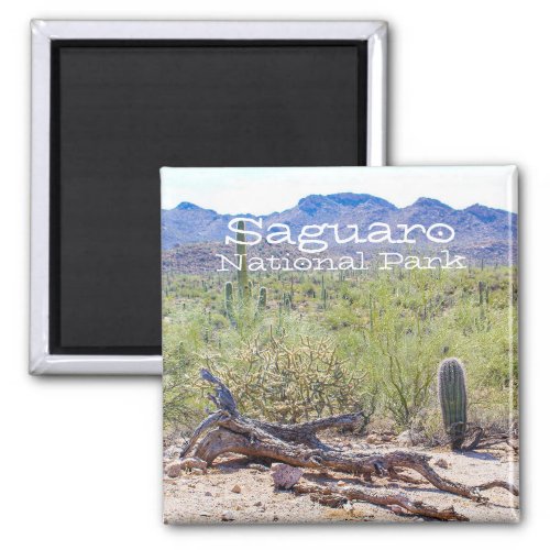 Saguaro National Park Tucson Arizona Magnet