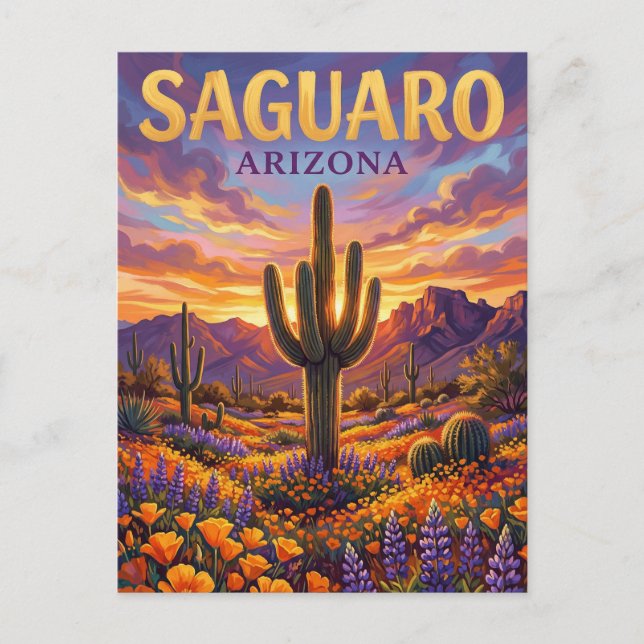 Saguaro National Park USA Postcard (Front)