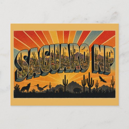 Saguaro NP Arizona Desert Cactus Forest Art Postcard