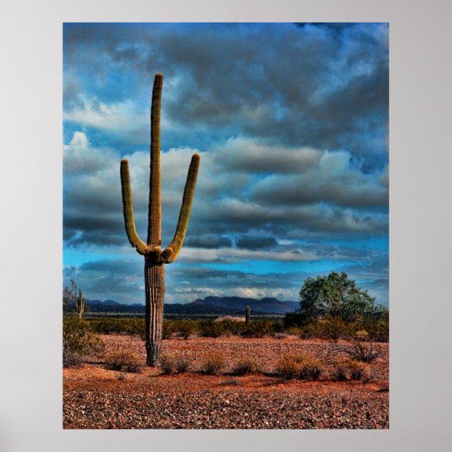 Saguaro Poster (Front)
