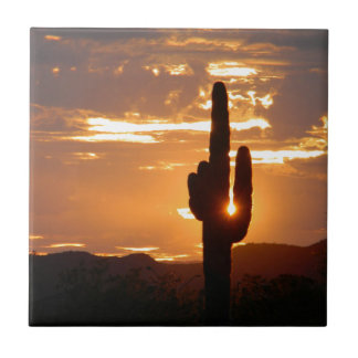 Saguaro Rays Ceramic Tile