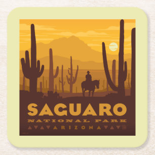 Saguaro Square National Park   Arizona Paper Coaster