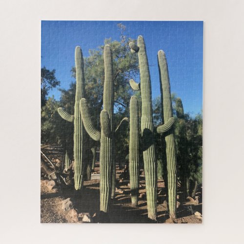 Saguaro Stand Puzzle
