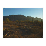 Saguaro Sunrise at Saguaro National Park Canvas Print