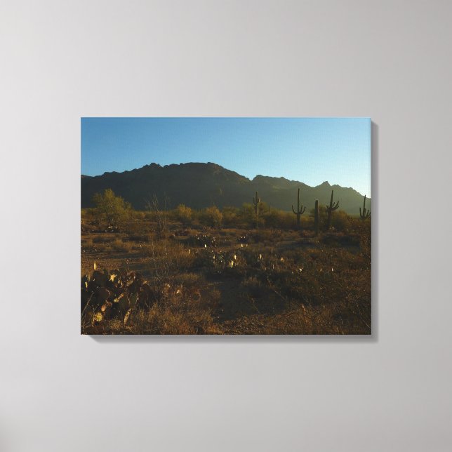 Saguaro Sunrise at Saguaro National Park Canvas Print (Front)