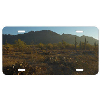 Saguaro Sunrise at Saguaro National Park License Plate