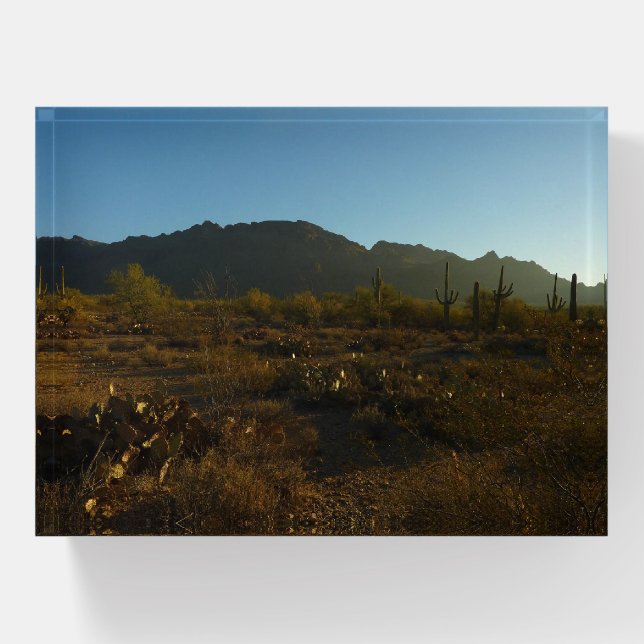 Saguaro Sunrise at Saguaro National Park Paperweight (Front)