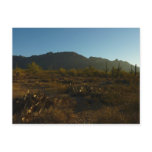 Saguaro Sunrise at Saguaro National Park Postcard