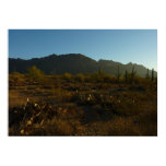 Saguaro Sunrise at Saguaro National Park Poster