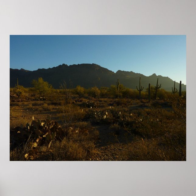 Saguaro Sunrise at Saguaro National Park Poster (Front)