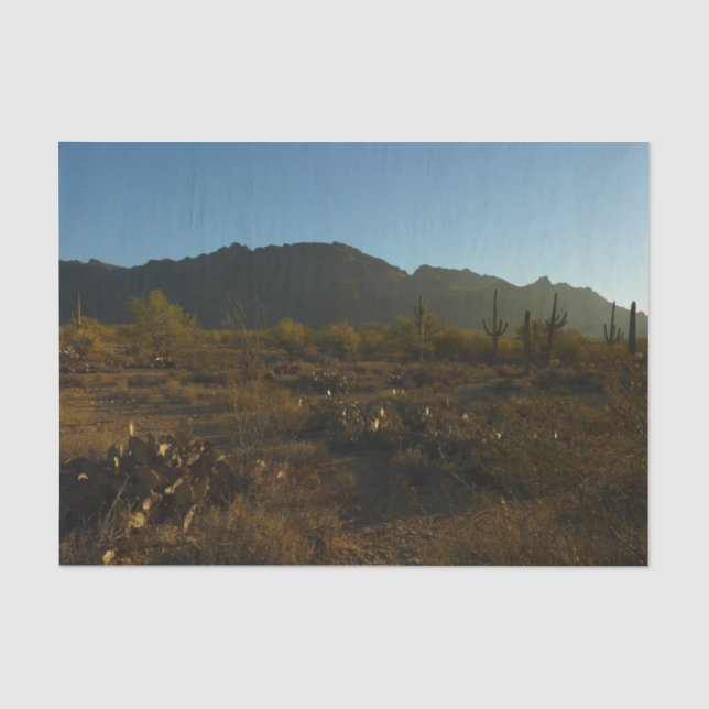 Saguaro Sunrise at Saguaro National Park Tissue Paper (Front)