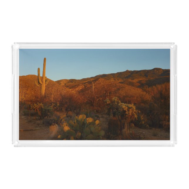 Saguaro Sunset I Arizona Desert Landscape Acrylic Tray (Front)