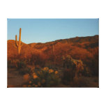 Saguaro Sunset I Arizona Desert Landscape Canvas Print