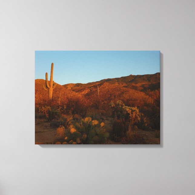 Saguaro Sunset I Arizona Desert Landscape Canvas Print (Front)