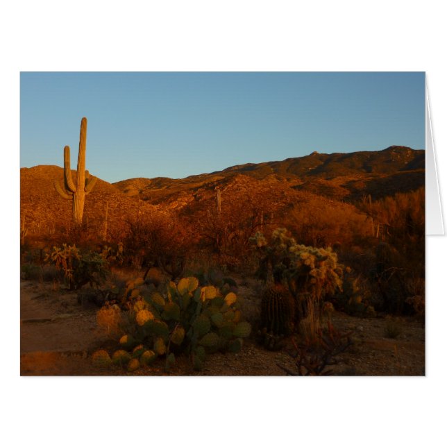 Saguaro Sunset I Arizona Desert Landscape Card (Front Horizontal)
