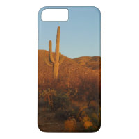 Saguaro Sunset I Arizona Desert Landscape