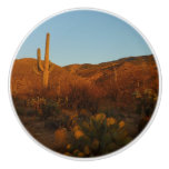 Saguaro Sunset I Arizona Desert Landscape Ceramic Knob