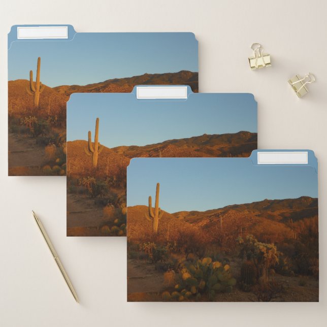 Saguaro Sunset I Arizona Desert Landscape File Folder (Set)