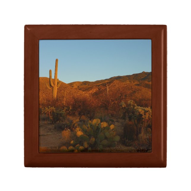 Saguaro Sunset I Arizona Desert Landscape Jewelry Box (Front)
